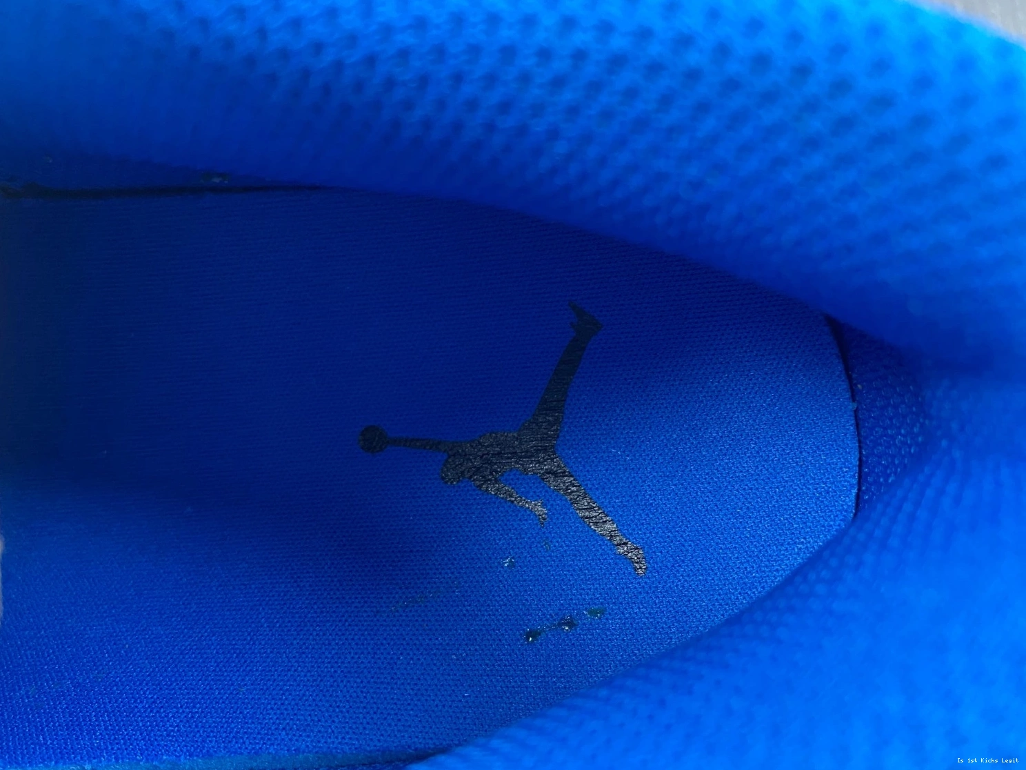 Blue True Jordan Air 1 Low DM1199-140 1006
